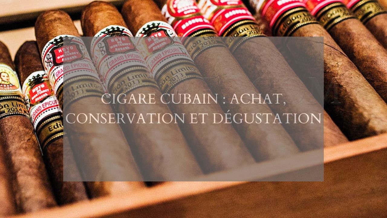 Cigare cubain : Achat, conservation et dégustation