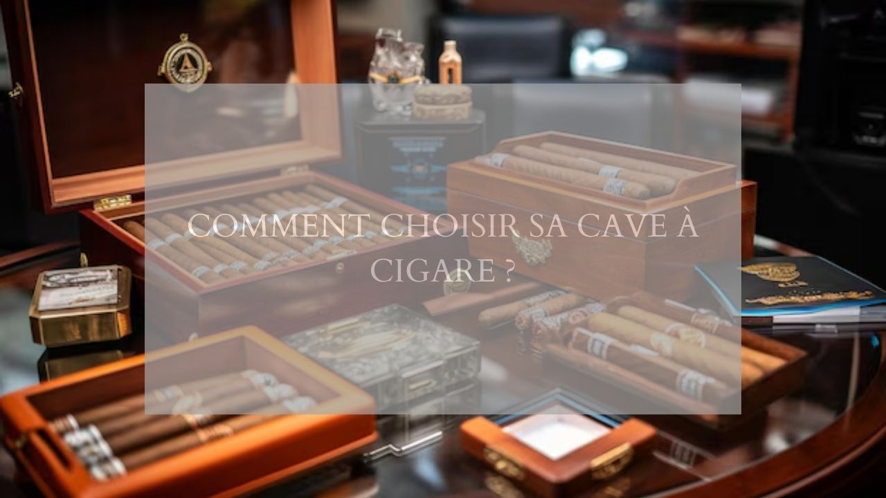 Comment choisir sa cave à cigare ?